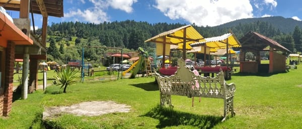 Vista amplia de las palapas del predio con el bosque detrás