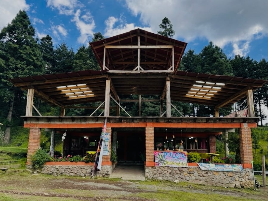 La hacienda vista desde el camino de llegada, entre los pinos