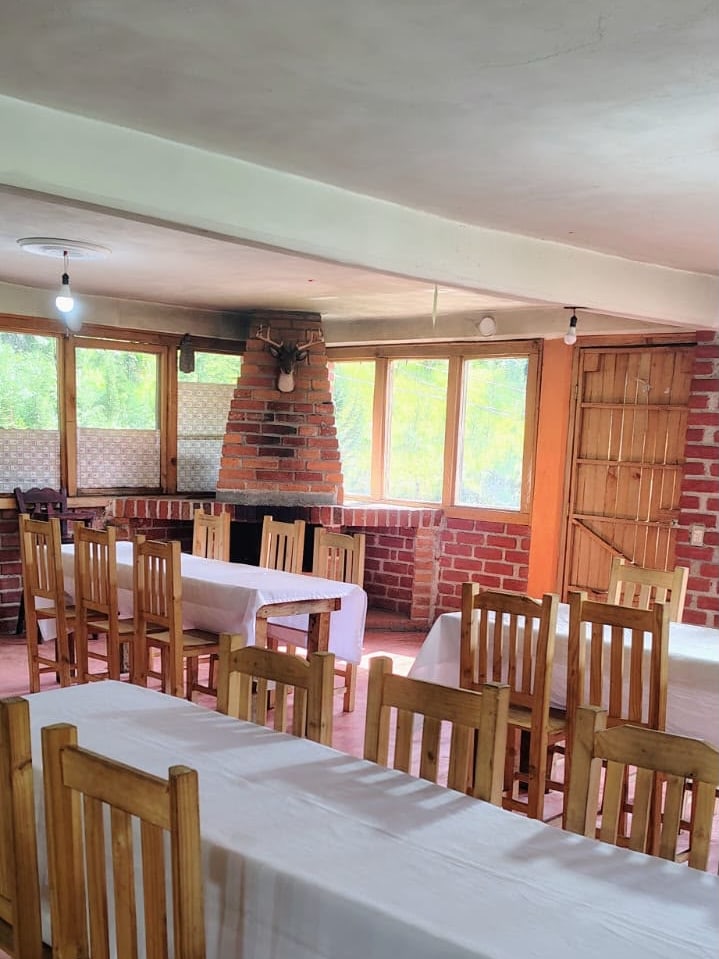 Salón techado con mesas largas y ventanales al bosque