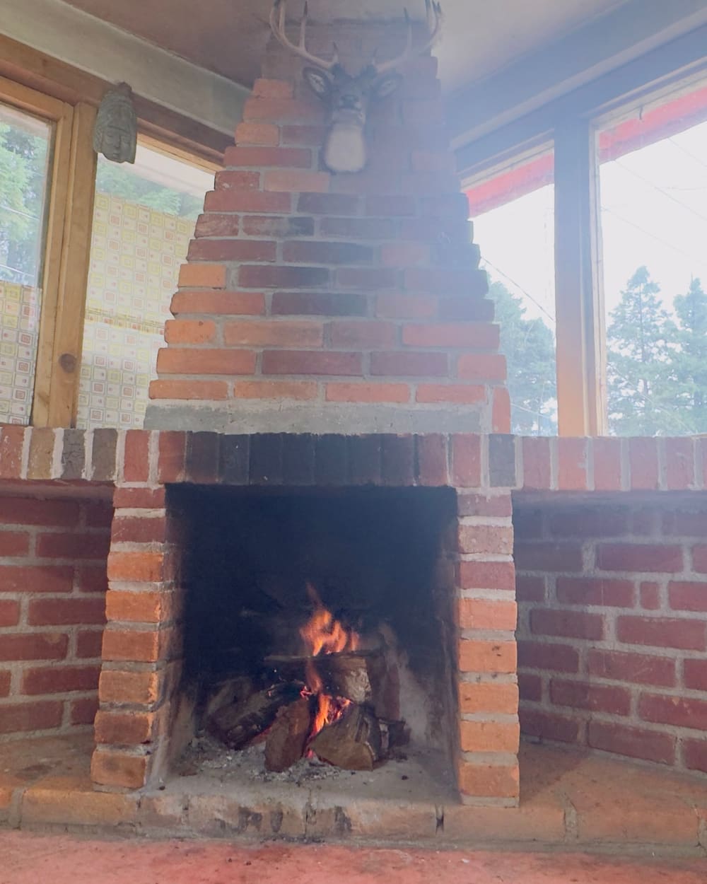 Chimenea de ladrillo con leña encendida dentro del salón